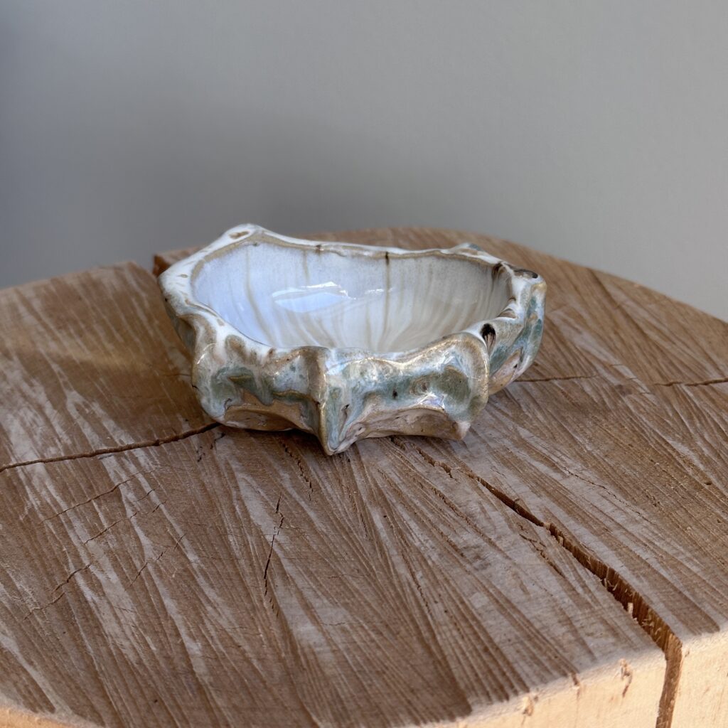 Bølgeskvulp, mini skål